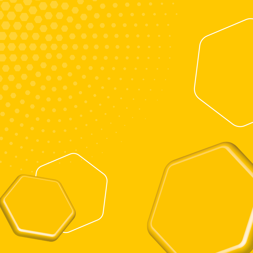 Yellow Bellies Locatie